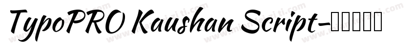 TypoPRO Kaushan Script字体转换